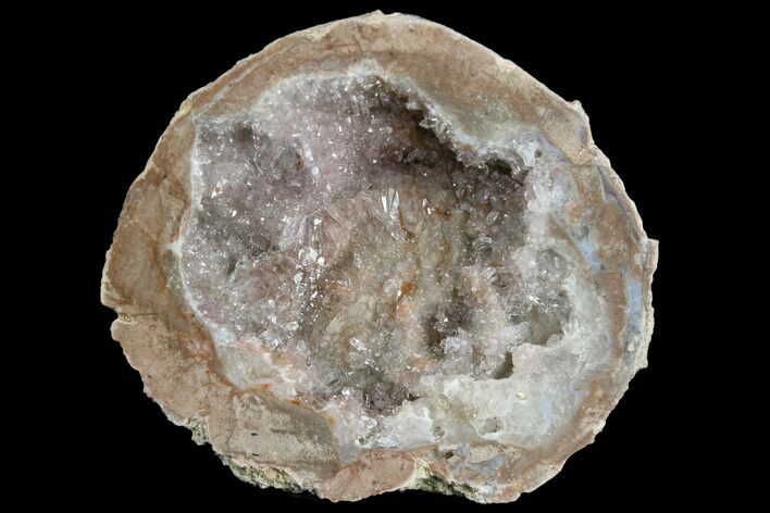Las Choyas Coconut Geode Half with Amethyst Crystals - Mexico #165560